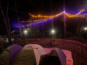 Fotografie z fotogalerie ubytování Spies Munnar Camping v destinaci Chinnakanal + 26 fotografií