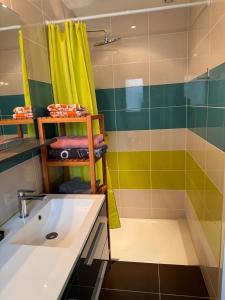 a bathroom with a sink and a shower and a tub at Le Studio de Vasconia in Muret +30 photos