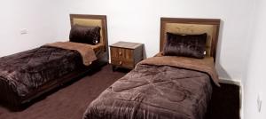 a bedroom with two beds and a night stand at Blue Bird House in Wadi Musa