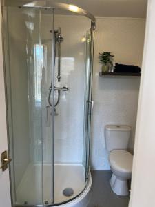 een badkamer met een douche en een toilet bij Y Garth Guesthouse in Bangor