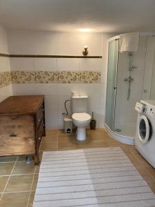 a bathroom with a toilet and a washing machine at Chalupa Barbolica in Vernár