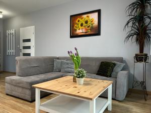 a living room with a couch and a coffee table at Parkcity Park Śląski in Katowice