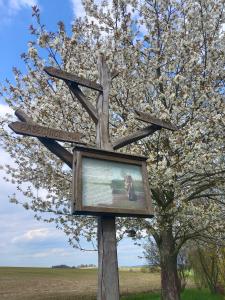 Natuurlandschap vlak bij het pension