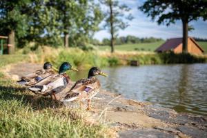 Natuurlandschap vlak bij het pension