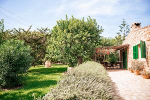 Zahrada ubytování Agroturisme Son Barceló Mas