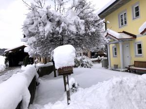 Eggstätt-Hartsee v zimě