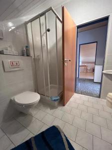 ein Bad mit einem WC und einer ebenerdigen Dusche in der Unterkunft Eifelland-Ferien in Kelberg