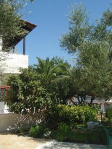 a garden with trees and bushes in front of a building at Billy's Amoudi Apartments in Amoudi
