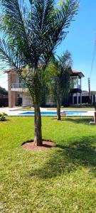 two palm trees in a field of grass with a building at Executive 4 bedroom house with 4 beds . in Lusaka