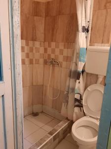 La salle de bains est pourvue d'une douche et de toilettes. dans l'établissement HI Youth and Business Apartments, à Belgrade