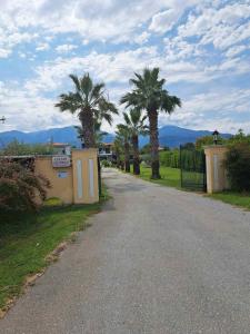 una carretera con palmeras al lado de una casa en OASIS VILLA, en Litóchoron