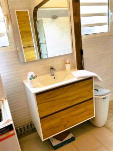 ein Badezimmer mit einem Waschbecken, einem Spiegel und einem WC in der Unterkunft Charme du Nord 1 in Sainte-Clotilde