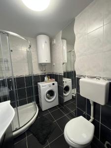 La salle de bains est pourvue de toilettes, d'un lavabo et d'un lave-linge. dans l'établissement Lumos, à Sombor