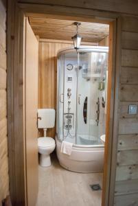 ein Bad mit einer Dusche und einem WC in der Unterkunft Hostel Fortuna in Banja Luka