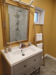 ein Bad mit einem Waschbecken, einem Spiegel und einer Dusche in der Unterkunft Altstadt House in Braşov + 8 Fotos