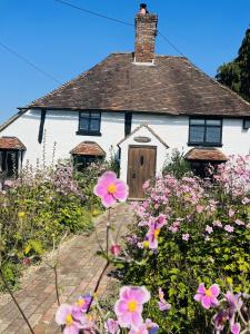 a white house with flowers in front of it at Charming, dog friendly cottage in Doddington