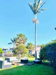 a palm tree in a yard with couches and a palm tree at House At the Heart of Shellharbour in Shellharbour