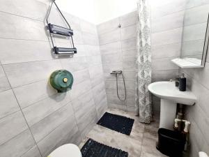 ボイネアサにあるVila Giulia Voineasaのバスルーム(シャワー、トイレ、シンク付)