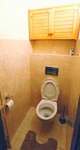 een badkamer met een toilet en een houten kast erboven bij Apartament NG in Wieliszew
