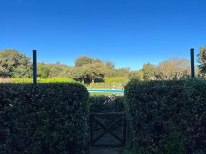 dos setos con una piscina en el fondo en Suite del Mascherino en Monte Argentario