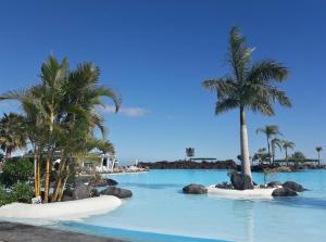 una piscina con palmeras en una playa en Sta Cruz centro con balcón, WiFi super rápida y zona para trabajar en remoto, cerca intercambiador, en Santa Cruz de Tenerife