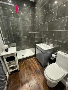 e bagno con servizi igienici, lavandino e doccia. di Stunning Georgian Spacious Apartment Central Bath a Bath