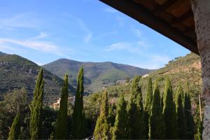 a row of cypress trees in front of mountains at Collerosso Appartamenti per vacanze in Calci +14 photos