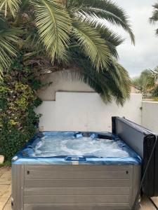 una vasca idromassaggio seduta accanto a una palma di Acacias belle maison avec Piscine chauffée, Spa et Sauna a Rivedoux-Plage