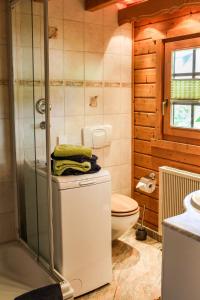 a bathroom with a toilet and a glass shower at Haus Cürsgen - Blockhaus Jana in Berlin