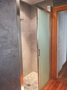 eine Dusche mit Glastür im Bad in der Unterkunft "Côté nature", appartement cosy au cœur de Munster in Munster