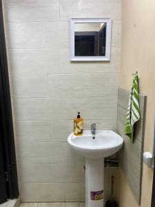 a bathroom with a sink and a mirror at Hostel Krone GOK Zatishok in Kyiv