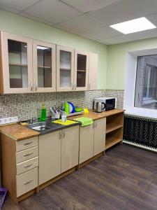 a kitchen with a sink and a counter top at Hostel Krone GOK Zatishok in Kyiv