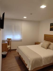 Un pat sau paturi într-o cameră la Hotel Gastronómico Gandainas