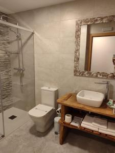 La salle de bains est pourvue de toilettes, d'un lavabo et d'une douche. dans l'établissement Hotel Gastronómico Gandainas, à Riós