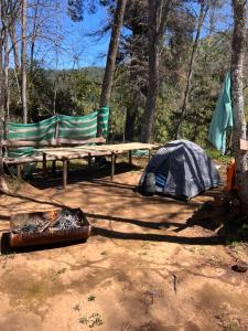 a tent and a picnic table in the woods at Camping don Zacarías in El Bolsico