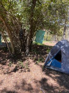 ein blaues Zelt neben einem Baum in der Unterkunft Camping don Zacarías in El Bolsico