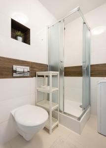 a bathroom with a toilet and a shower at Metro Targówek Comfy Apartment in Warsaw