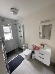 uma casa de banho com um WC, um chuveiro e um lavatório. em Beautiful Farmhouse an Hour’s Drive From Four Irish Cities em Clonmel