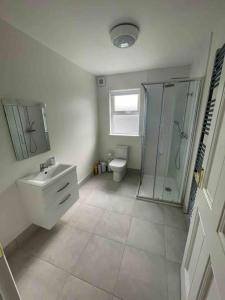 een badkamer met een wastafel, een douche en een toilet bij Beautiful Farmhouse an Hour’s Drive From Four Irish Cities in Clonmel