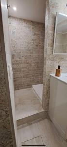 bagno con doccia e lavandino di T2, T3 coeur de ville, patio, clim et parking privé a Sète