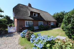 Zahrada ubytování Landhaus Braderup - Braderuper Str 14