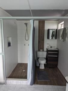 a bathroom with a shower with a toilet and a sink at La Bella Vista in Calarcá