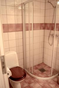 a bathroom with a toilet with a glass shower at True Vesterålen Hotel in Sortland