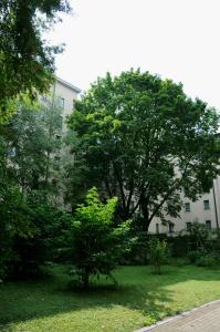 Vonkajšia záhrada v ubytovaní P&J Apartamenty Św. Krzyża