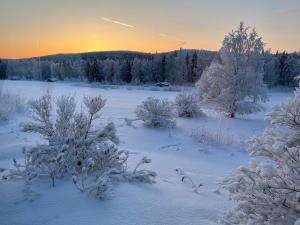 a snowy field with trees and the sunset in the background at House in the middle of forests and lakes 
