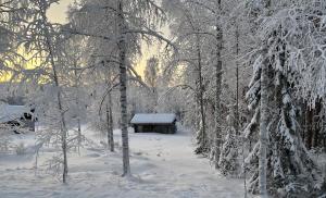 domek na środku pokrytego śniegiem lasu w obiekcie House in the middle of forests and lakes 