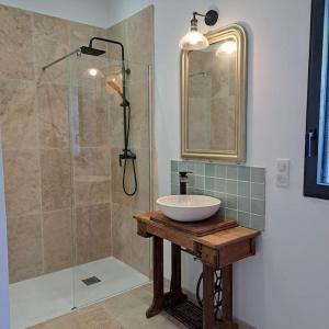 a bathroom with a sink and a shower at Grange 8 personnes in Billère