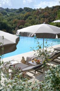 Příroda nedaleko apartmánu + 22 fotografií