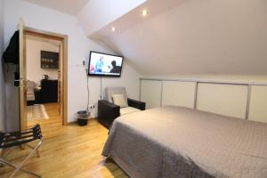 - une chambre avec un lit et une télévision à écran plat dans l'établissement VILLA OTOK WITH POOL, TOP LUXURY IN TREBINJE, à Trebinje