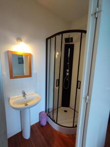 a bathroom with a shower and a sink at La Ferme du Parc in Pendé